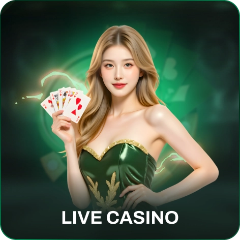 VK88 live casino
