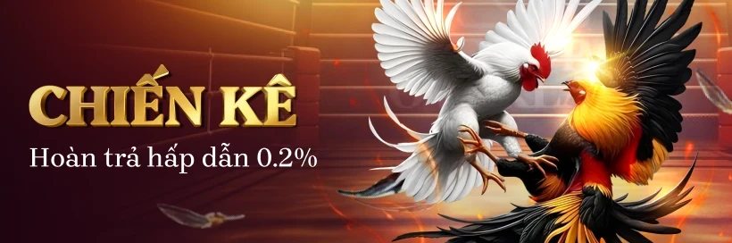 VK88 Kịch Tính Đá Gà, Hoàn Trả Vô Hạn Mỗi Ngày