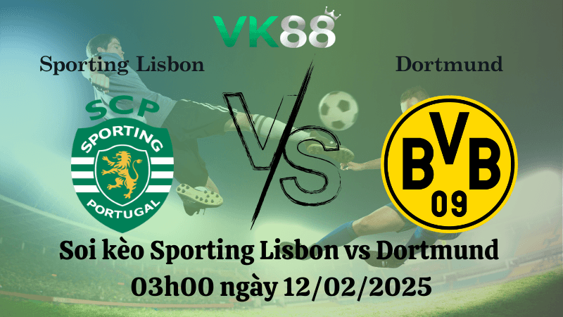 VK88 Nhận định soi kèo Sporting Lisbon vs Dortmund 03h00 ngày 12/02/2025 - Champions League